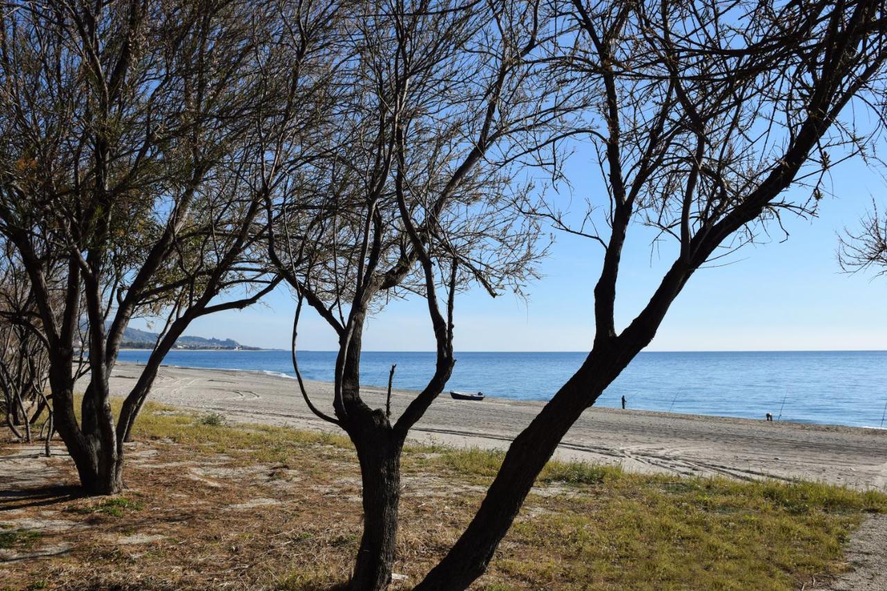 Accomodati B&B Marina di Gioiosa Ionica Εξωτερικό φωτογραφία